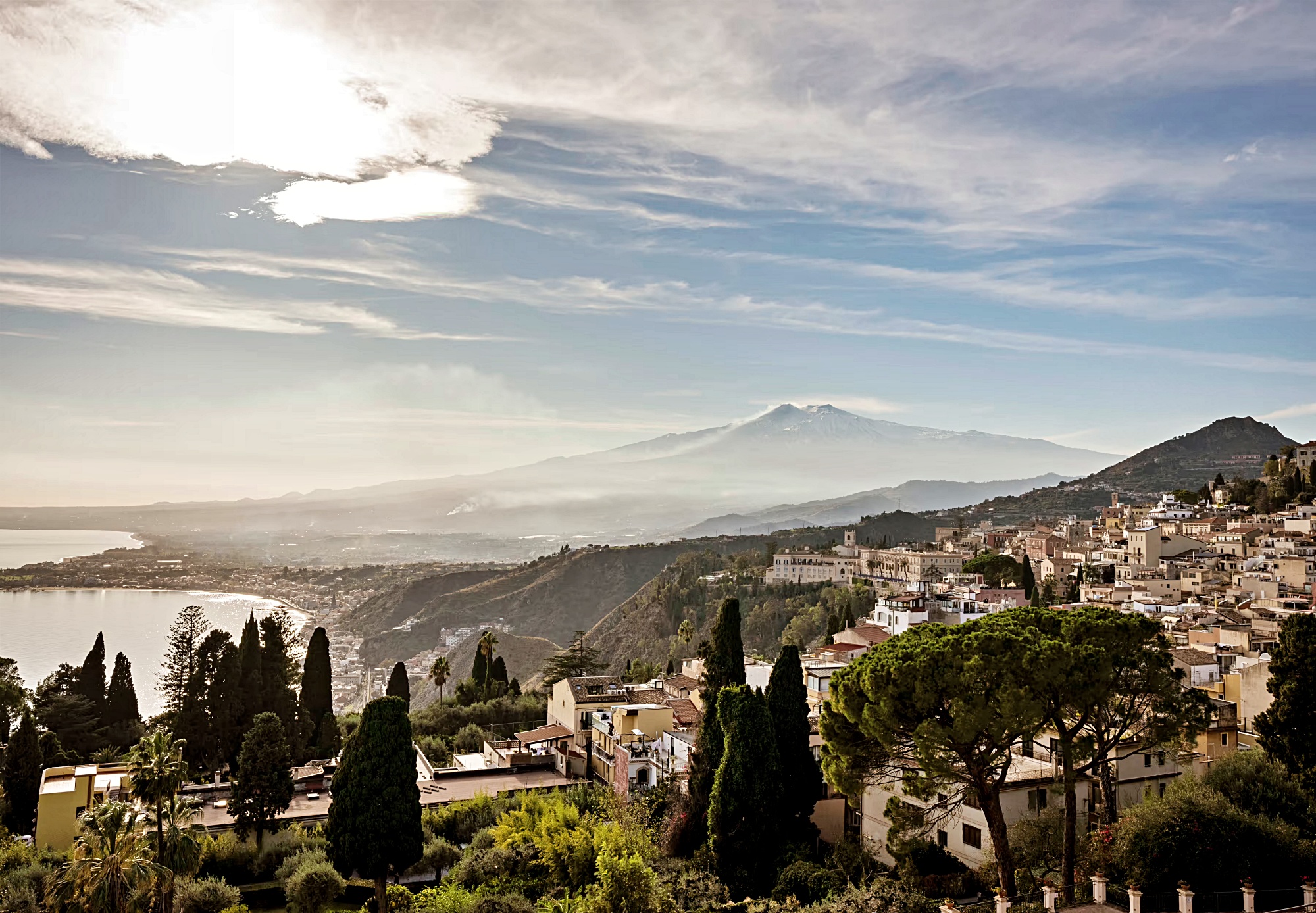 플로레스타 스위트