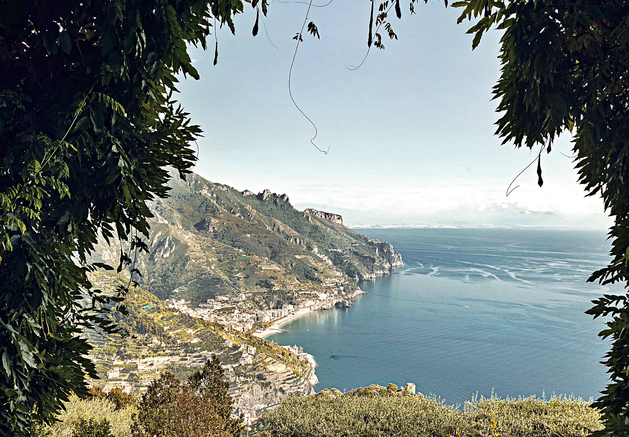 프리미엄 씨뷰 주니어 스위트 위드 테라스