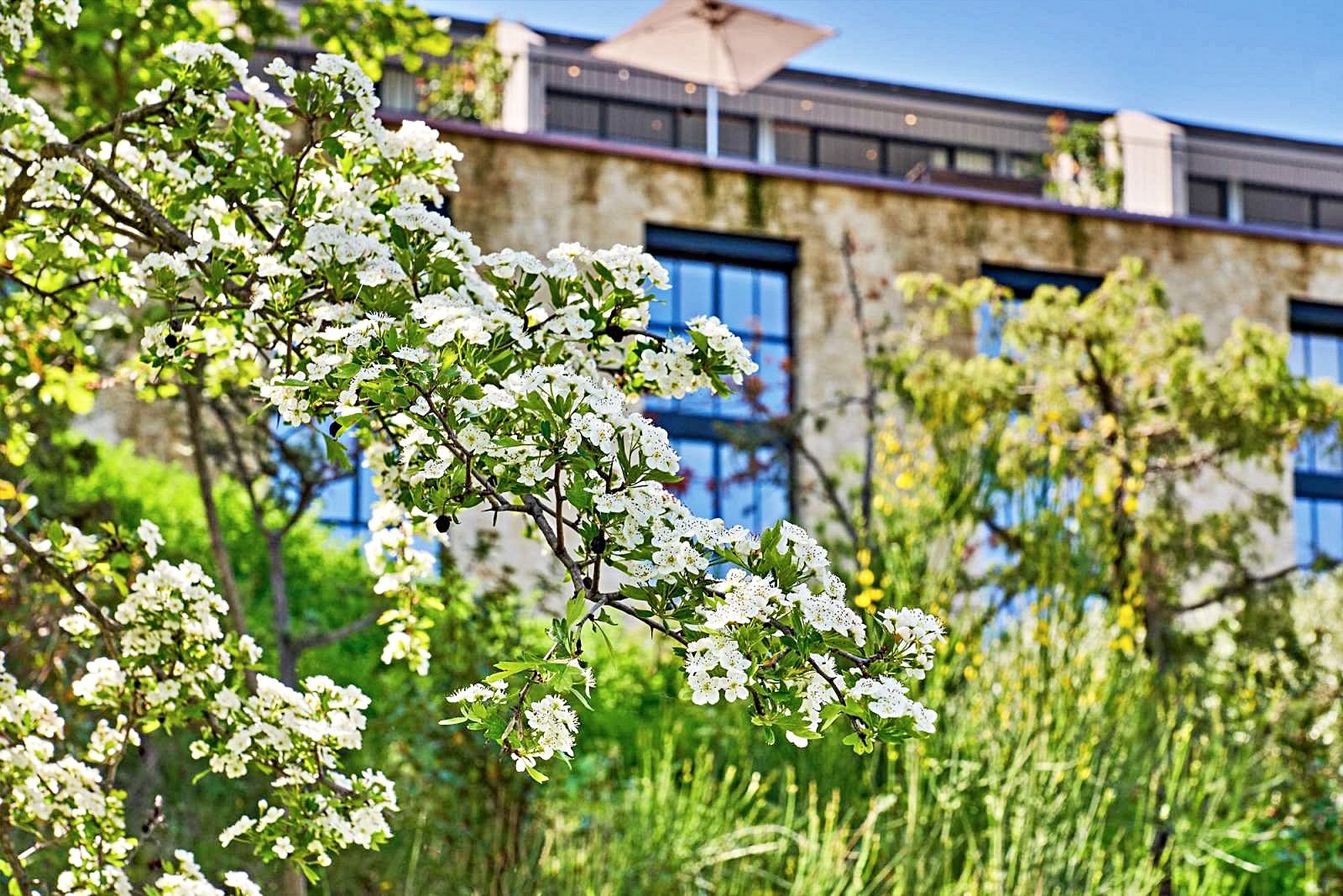 호텔 설명 이미지