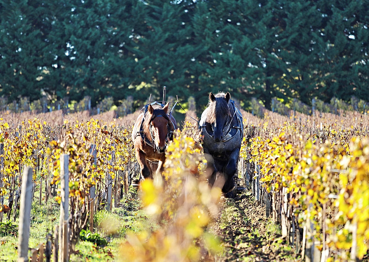 호텔 설명 이미지
